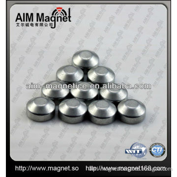 Rare Earth Permanent Magnet Motor Free Energy